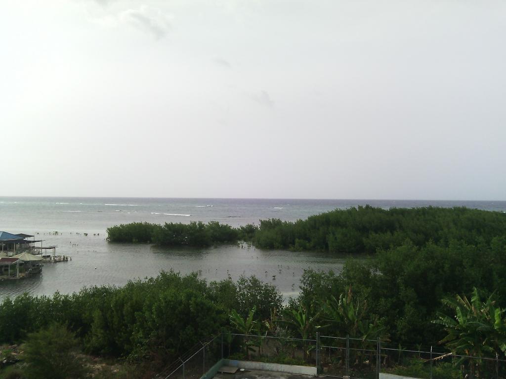 Hotel Tropik Leadonna Montego Bay Exteriér fotografie